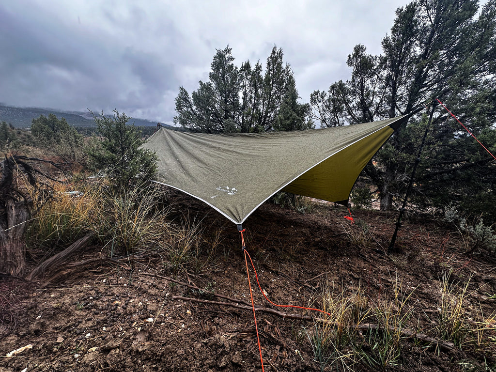 Green fly set up in a forested area with trees and ground cover.