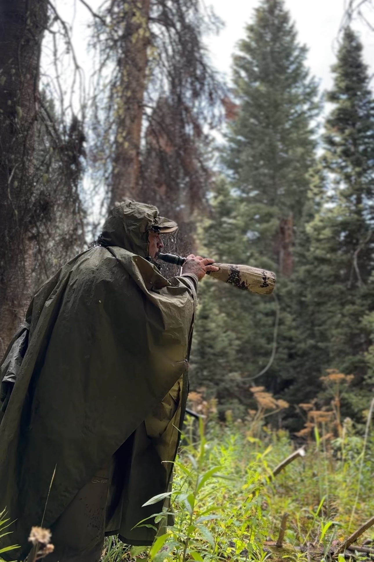 Person in Pursuit Poncho in a forest setting